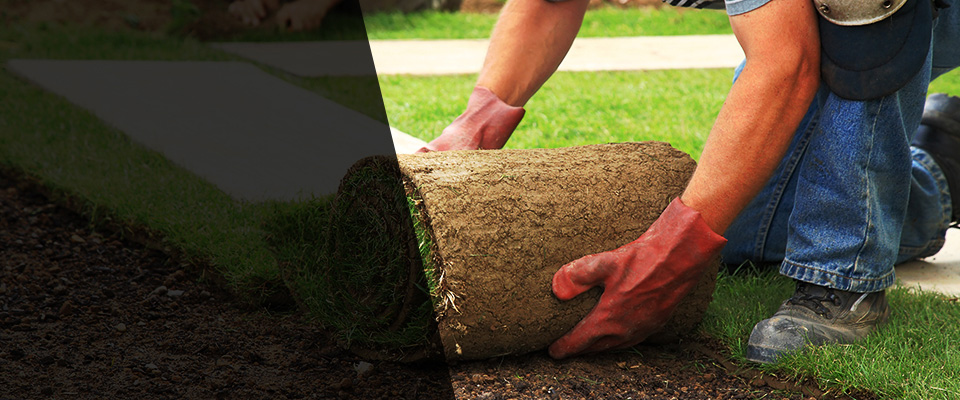 Port Huron Landscapers